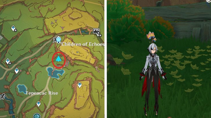 Genshin - Saurian Claw Succulent 17