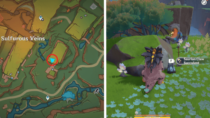 Genshin - Saurian Claw Succulent 42-44