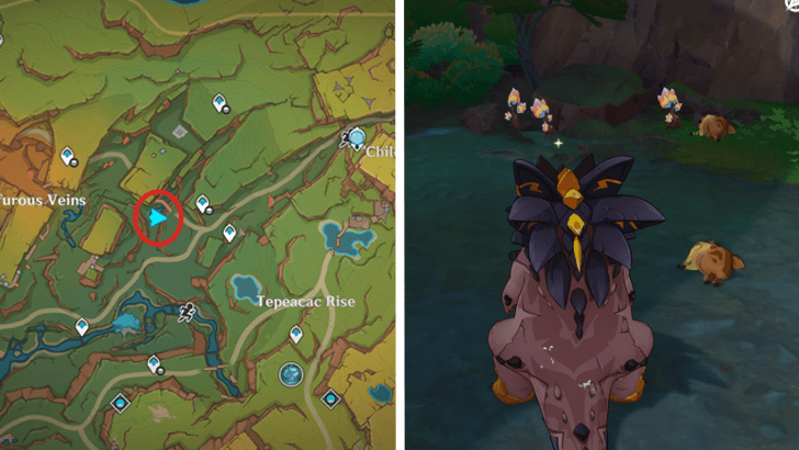 Genshin - Saurian Claw Succulent 37-39