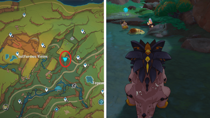 Genshin - Saurian Claw Succulent 36