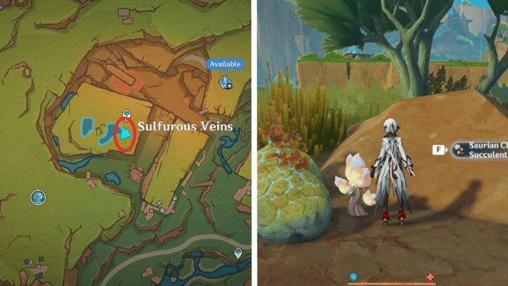 Genshin - Saurian Claw Succulent 47