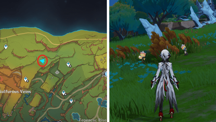 Genshin - Saurian Claw Succulent 61-62