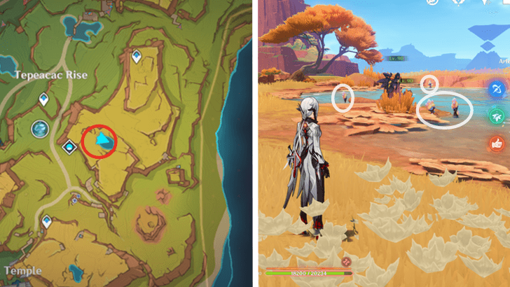 Genshin - Saurian Claw Succulent 1-4