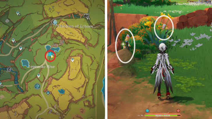 Genshin - Saurian Claw Succulent 5-6