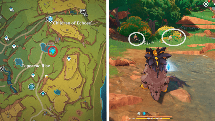 Genshin - Saurian Claw Succulent 7-9