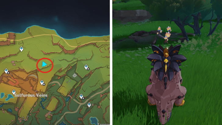 Genshin - Saurian Claw Succulent 63-65