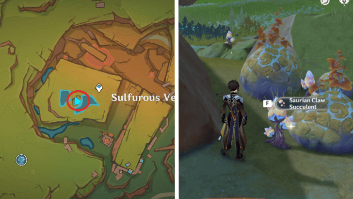 Genshin - Saurian Claw Succulent 48-50