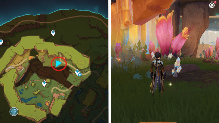 Genshin - Saurian Claw Succulent 55-57