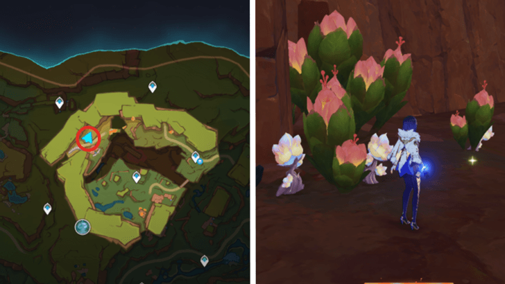 Genshin - Saurian Claw Succulent 75-77