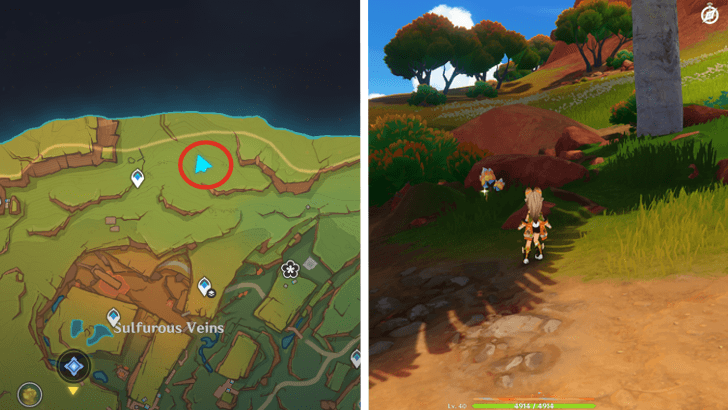 Genshin - Saurian Claw Succulent 70