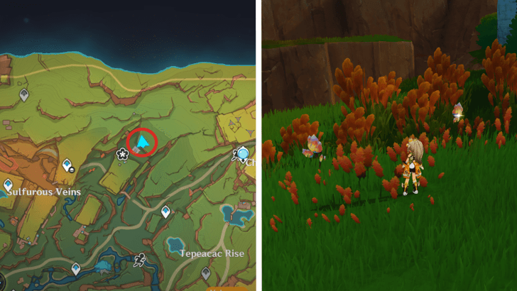 Genshin - Saurian Claw Succulent 26-27