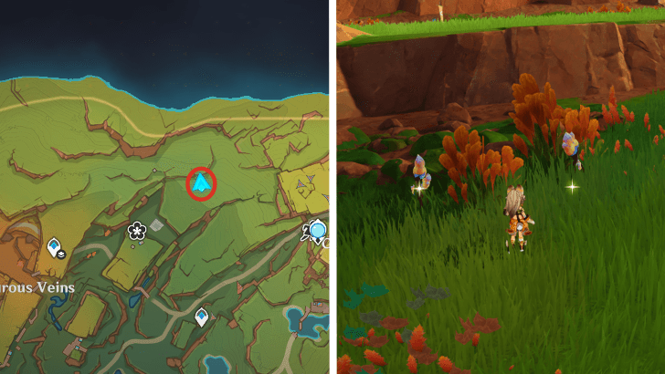 Genshin - Saurian Claw Succulent 24-25