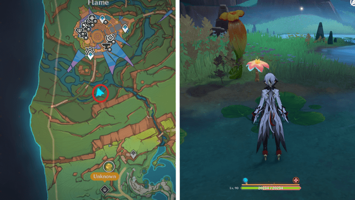 Genshin - Brilliant Chrysanthemum 64