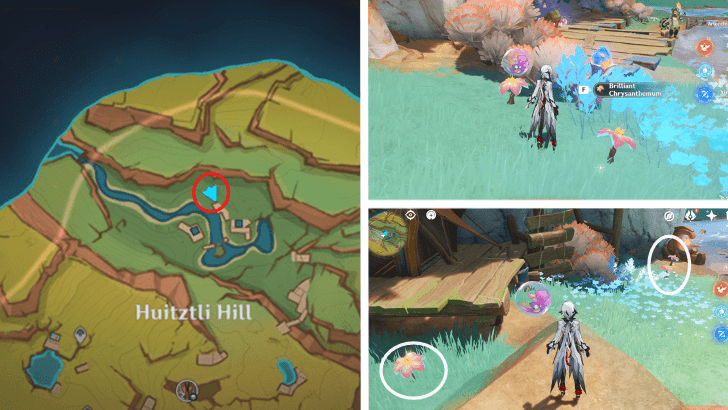 Genshin - Brilliant Chrysanthemum 3-7