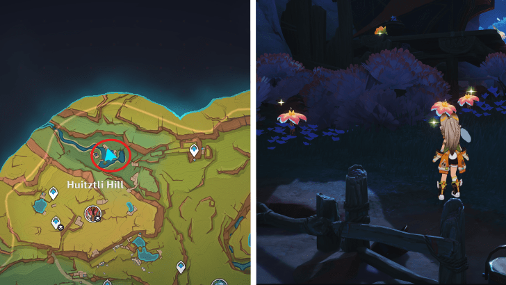 Genshin - Brilliant Chrysanthemum 8-10