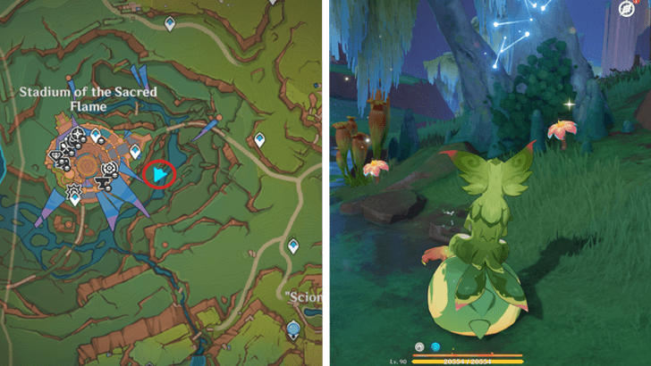 Genshin - Brilliant Chrysanthemum 49-50