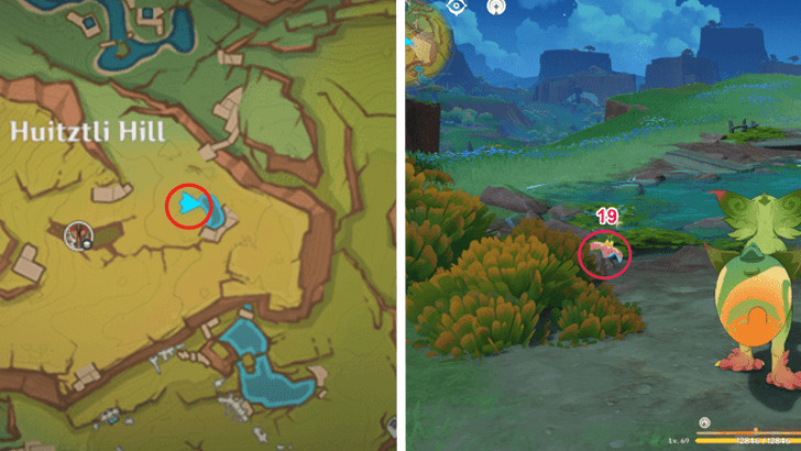 Genshin - Brilliant Chrysanthemum 19