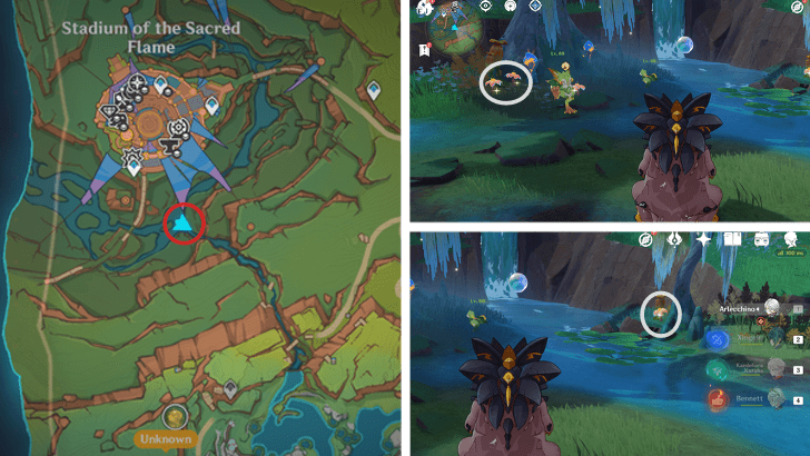 Genshin - Brilliant Chrysanthemum 60-63