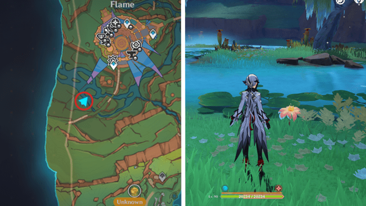 Genshin - Brilliant Chrysanthemum 65