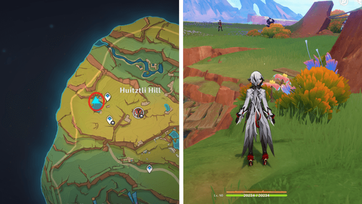 Genshin - Brilliant Chrysanthemum 14-15