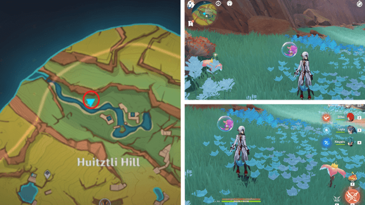 Genshin - Brilliant Chrysanthemum 1-2