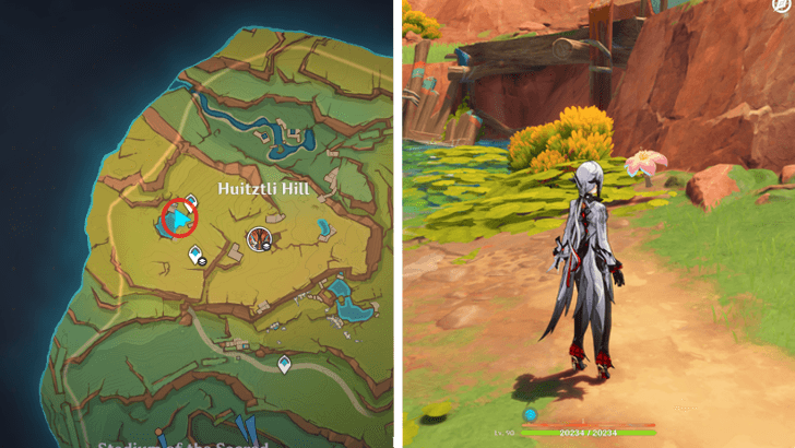 Genshin - Brilliant Chrysanthemum 16