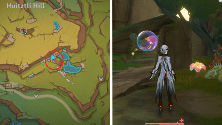 Genshin - Brilliant Chrysanthemum 23