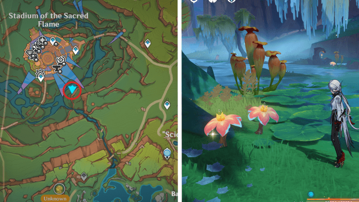 Genshin - Brilliant Chrysanthemum 54-56