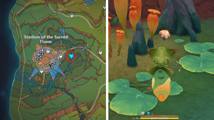 Genshin - Brilliant Chrysanthemum 43