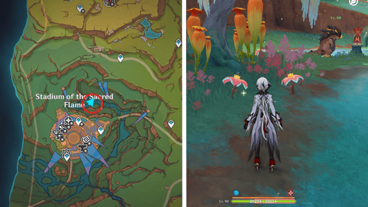 Genshin - Brilliant Chrysanthemum 34-36