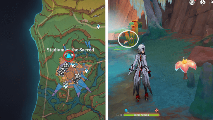 Genshin - Brilliant Chrysanthemum 31-33