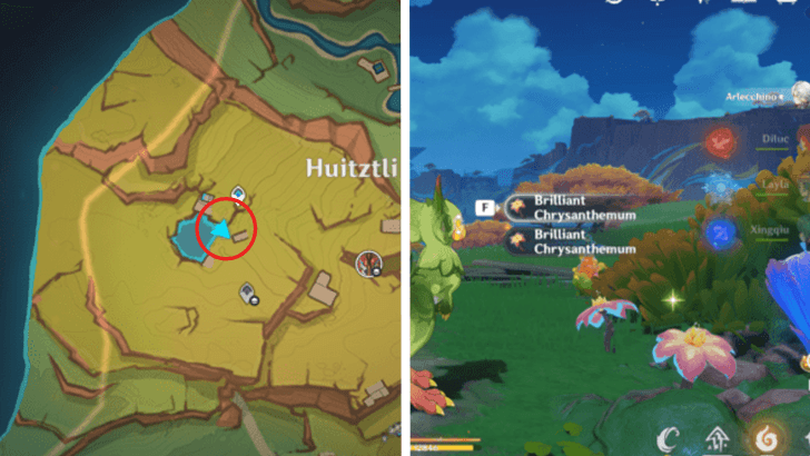 Genshin - Brilliant Chrysanthemum 17-18