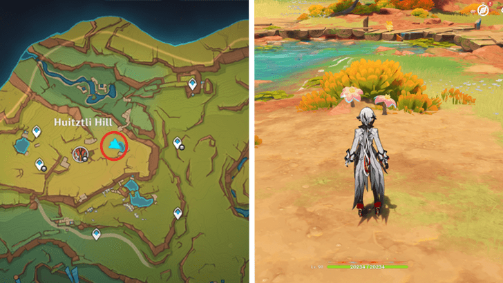 Genshin - Brilliant Chrysanthemum 20-21