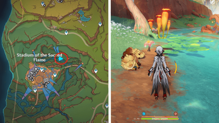 Genshin - Brilliant Chrysanthemum 37-39