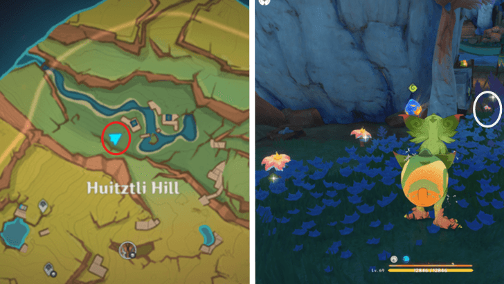 Genshin - Brilliant Chrysanthemum 11-13