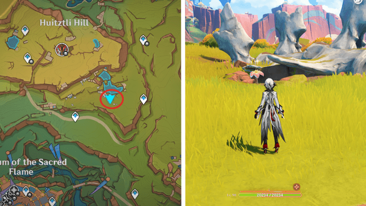 Genshin - Brilliant Chrysanthemum 28