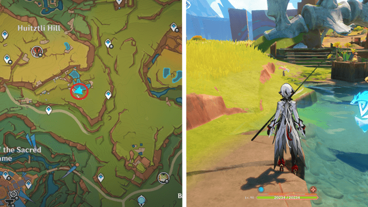 Genshin - Brilliant Chrysanthemum 27