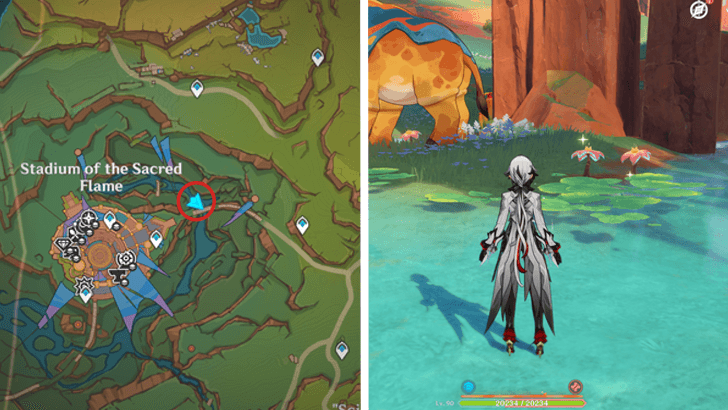 Genshin - Brilliant Chrysanthemum 40-42