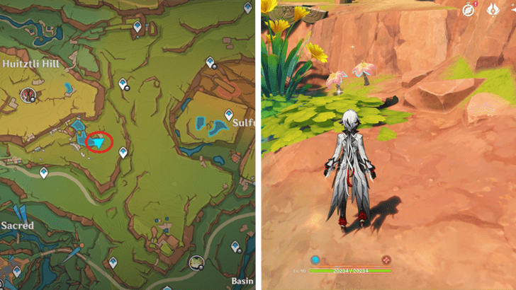 Genshin - Brilliant Chrysanthemum 25-26