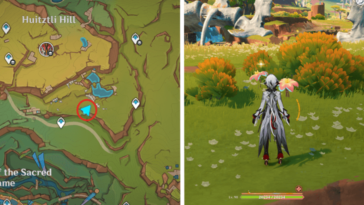 Genshin - Brilliant Chrysanthemum 29-30