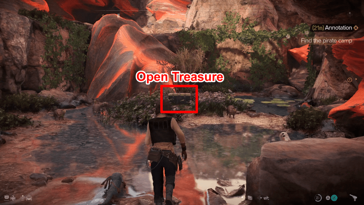 Optional - Open the Container Inside the Gushiro Nest