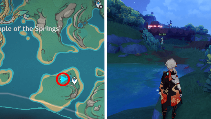 Genshin - Natlan Remarkable Chest 19