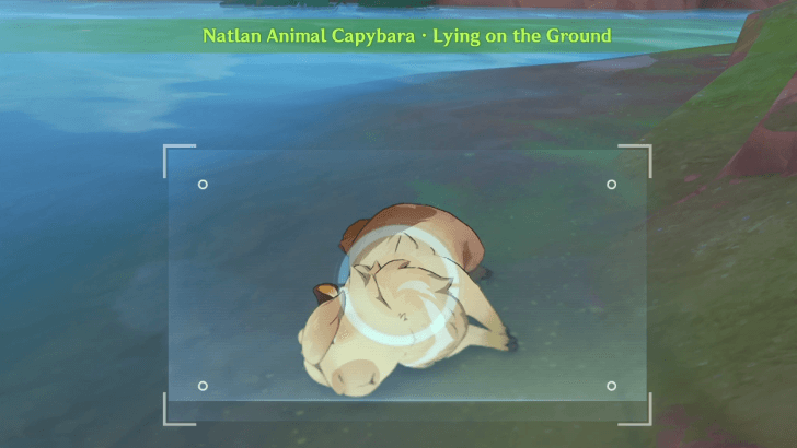 Genshin - Capybara - Lying on the Ground