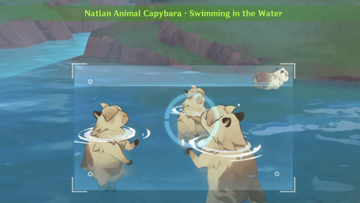 Genshin - Capybara - Swimming in the Water