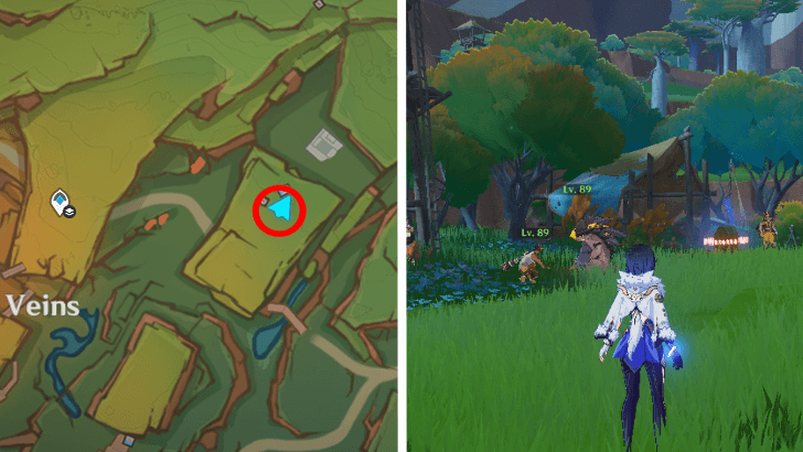 Northeast of Sulfurous Veins