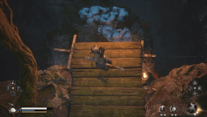 Ch4 - Drop Down to Verdure Bridge Shrine