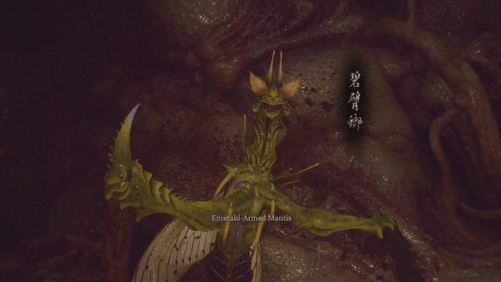 Emerald-Armed Mantis