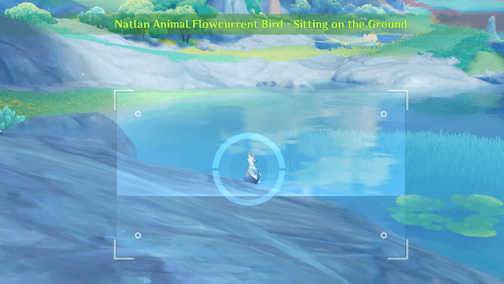 Genshin - Flowcurrent Bird - Sitting on the Ground