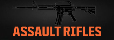 Assault Rifles Icon