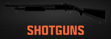Shotguns